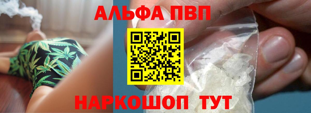 Alfa_PVP СК КРИС Ухта