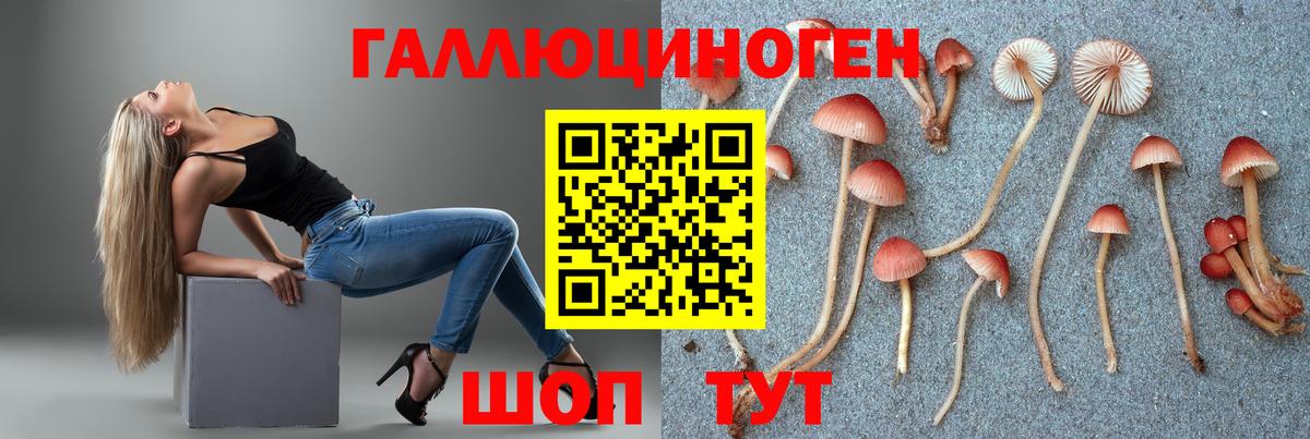 даркнет сайт  Вход с VPN  Ухта  Псилоцибиновые грибы Psilocybe 